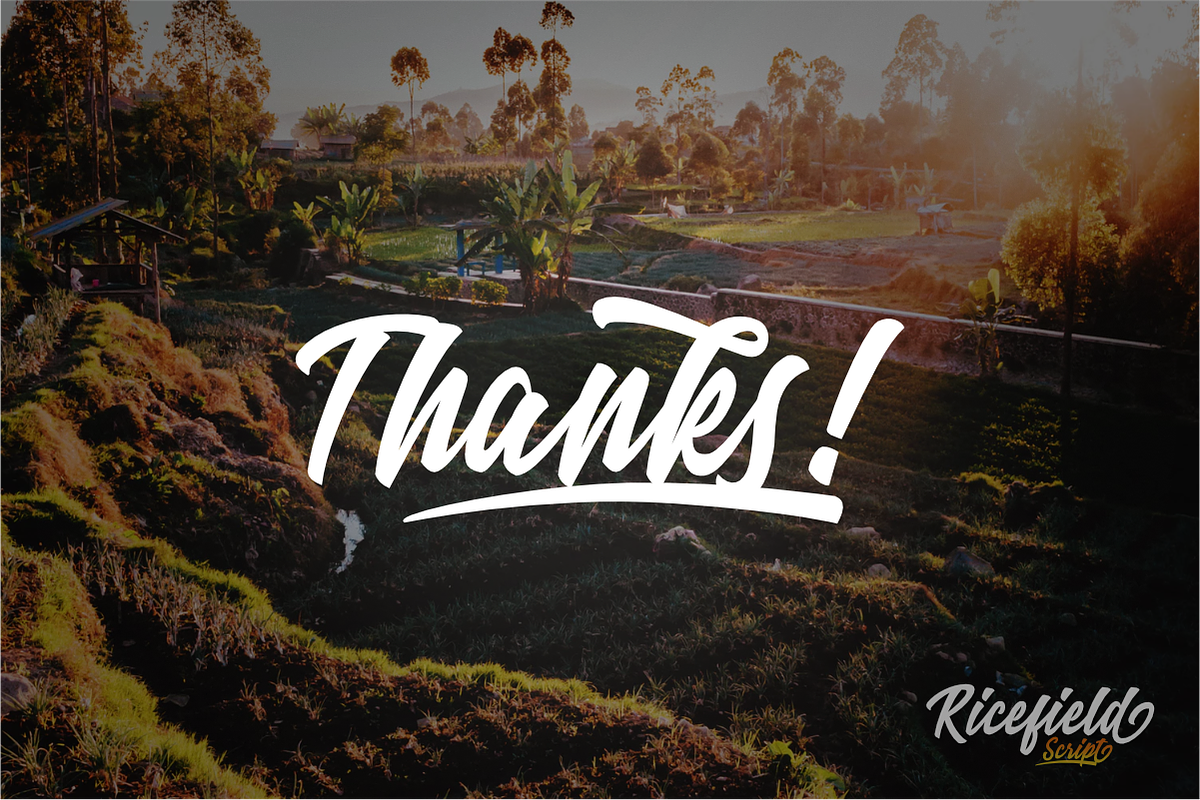 Ricefield Script preview 8