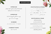 Monoline Script Font - Clara Sydney, a Script Font by sereneowl (Thumbnail 5 of 5)
