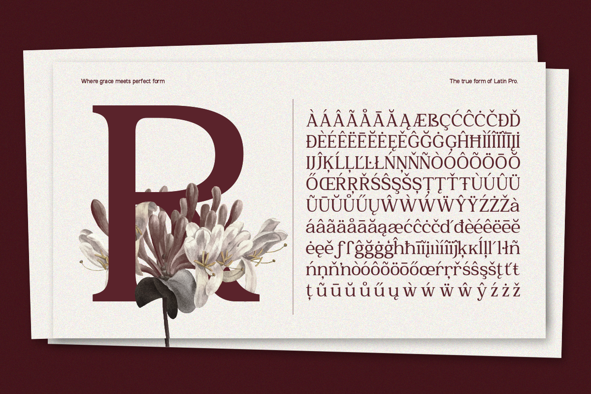 GC Romans Flower - Elegant Serif, a Serif Font by Glyphonic (Photo 15 of 15)