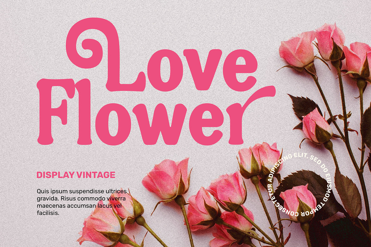 NugiaVintage, a Serif Font by ToniStudio (Photo 3 of 10)