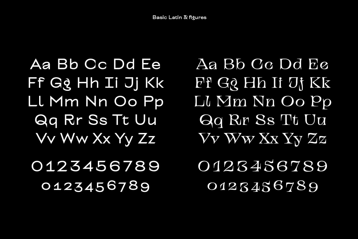 TT Alientz, a Serif Font by TypeType (Photo 10 of 15)