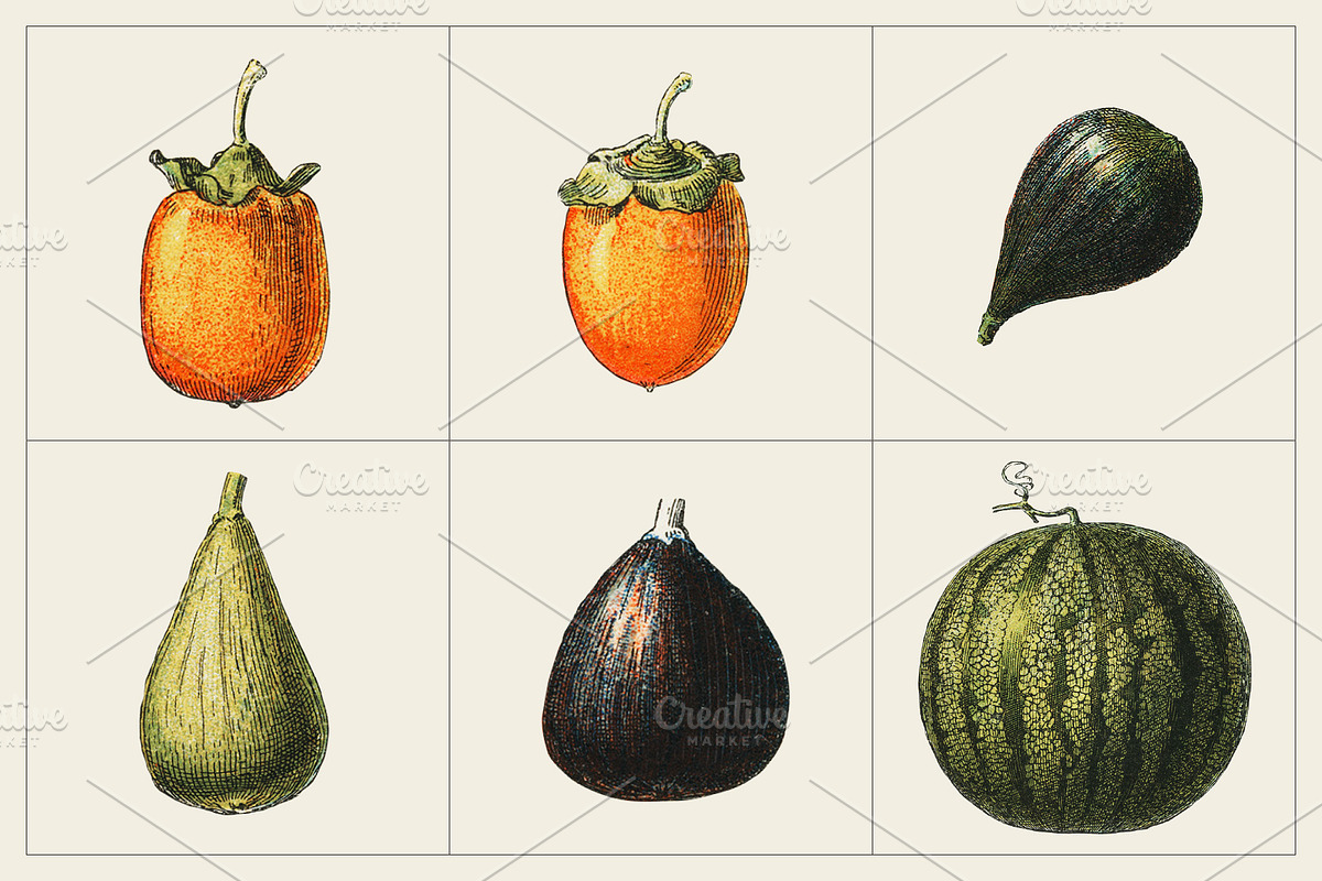 Fruit and Vegetable Art Collection, a Food Illustration by Illusiongraphic (Photo 4 of 14)