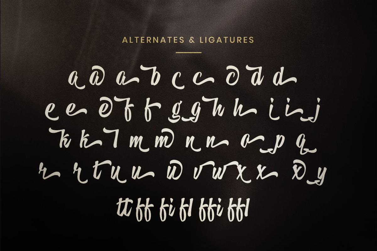 Hedgehock - Bold Script Logotype, a Sans Serif Font by Dirtyline Studio