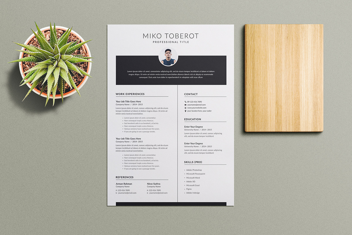 Clean Resume CV
