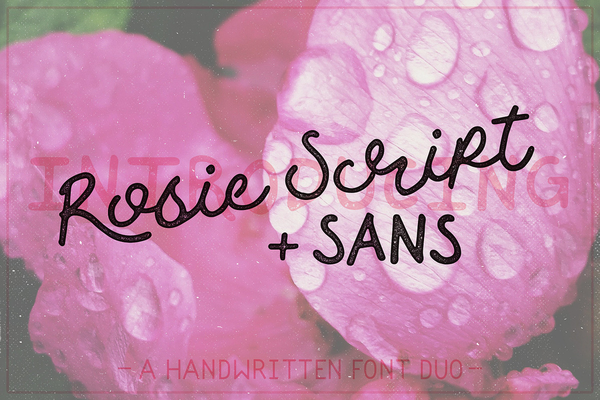 Rosie Script