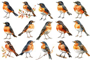 Autumn American Robin Bird Clipart, an Illustration by SinaCreation (Thumbnail 2 of 5)