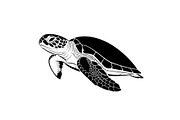 50 Sea Turtle Vector Silhouette Bund, an Illustration by jahid234 (Thumbnail 17 of 51)
