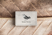 Neutral | Watercolor Textures, a Texture Graphic by Jennadesigns (Thumbnail 3 of 10)