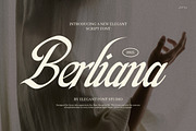 Berlina Elegant Script Font, a Script Font by Elegant Font (Thumbnail 1 of 8)