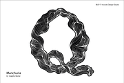 Manchuria, A-Z Unique Graphic Letter, an Illustration by Incools (Thumbnail 2 of 7)