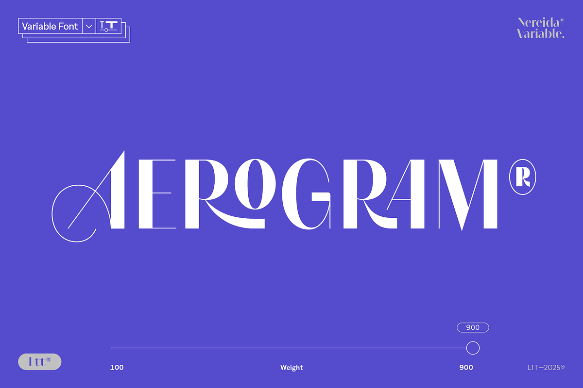 Nereida Variable, a Sans Serif Font by Latinotype (Photo 3 of 10)