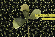Clover and Bumblebees. Watercolor., an Illustration by Noli Molly Store (Thumbnail 6 of 6)