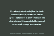 Filia Display Font, a Serif Font by Up Up Creative (Thumbnail 4 of 12)