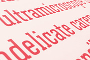 Farsan, a Slab Serif Font by Hökis Bokstavsfabrik (Thumbnail 7 of 7)
