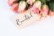 Rosalyne | Script Font, a Handwritten Font by Scratchones (Thumbnail 5 of 9)