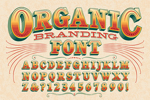 Organic Branding Display Alphabet