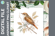 Bird Illustration Bundle, 21 PNG, an Animal Illustration by Enliven Designs (Thumbnail 5 of 8)