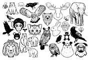 Paws & Wings Vector Animals, an Animal Illustration by Vectory by BSC (Thumbnail 3 of 3)