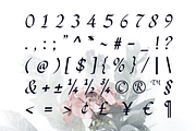 Flowing Romance, a Handwritten Font by Sign Studio (Thumbnail 10 of 10)