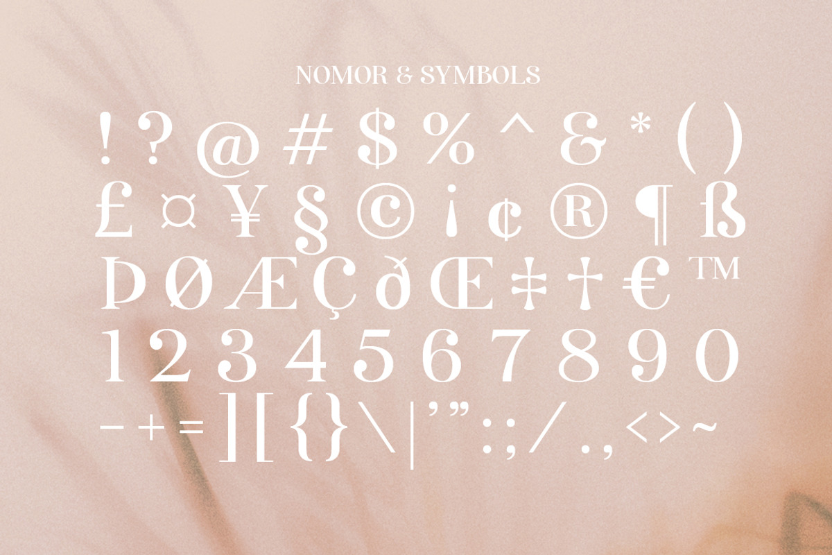 Anggie Display, a Serif Font by Gatype (Photo 10 of 11)