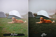10 Moody Green Lightroom Presets, a Preset Add-On by MEPRESETS (Thumbnail 9 of 9)