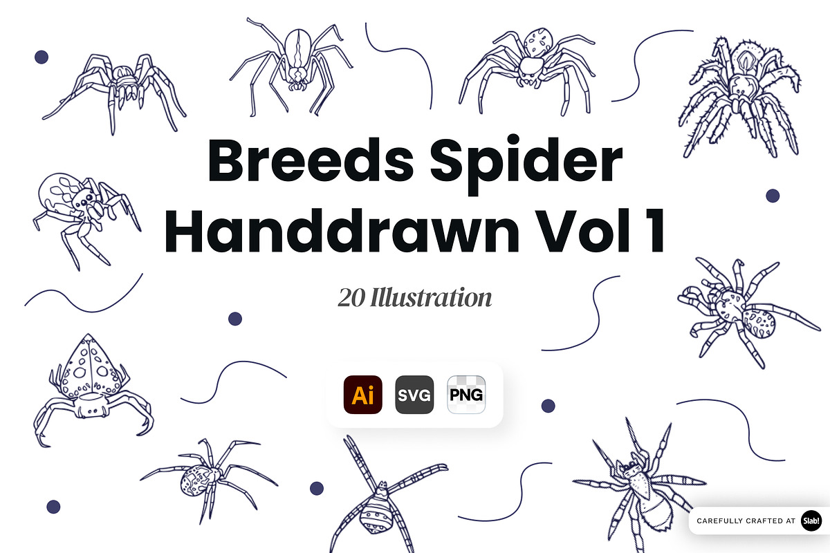 Spider Breeds Hand Drawn, an Animal Illustration by SLAB! Design (Photo 1 of 3)