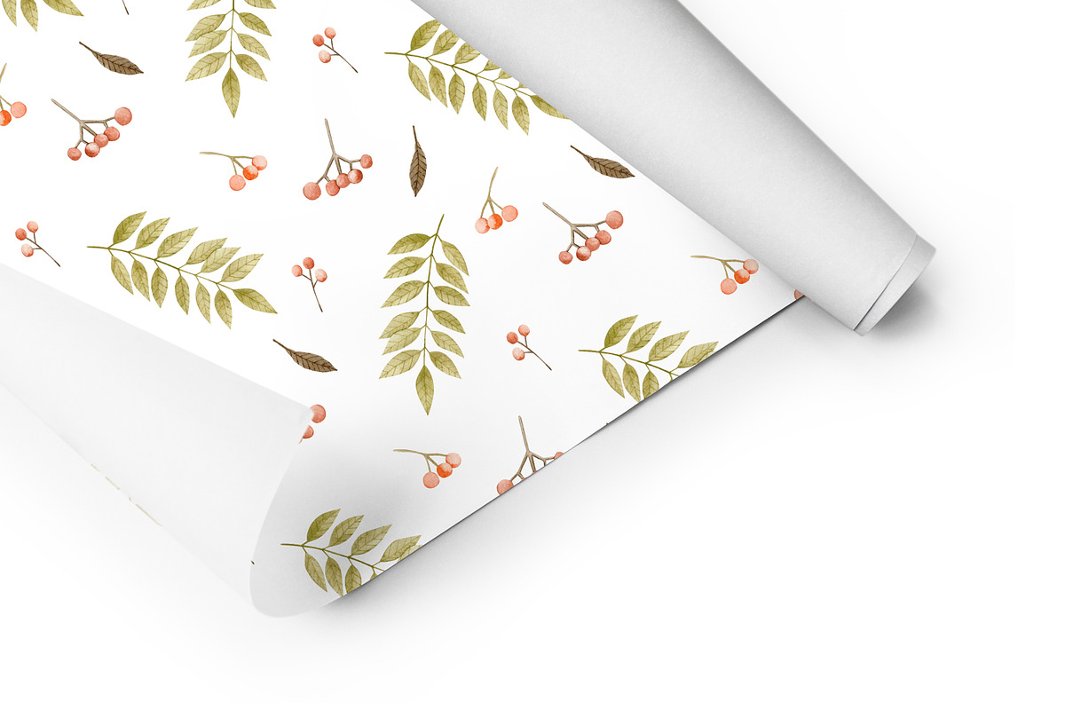 Watercolor autumn collection., a Decorative Illustration by Kira Konoshenko (Photo 13 of 26)