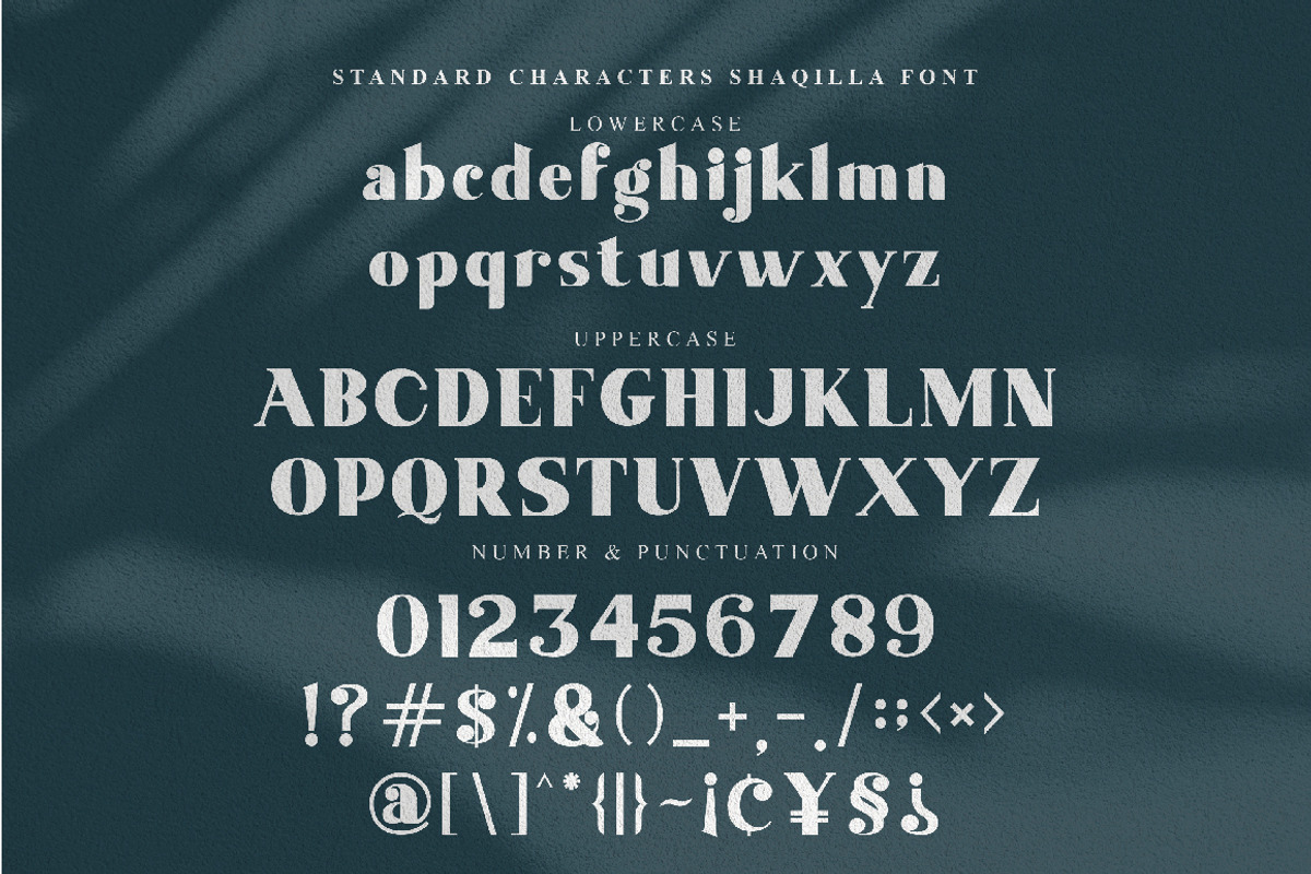 Shaqilla - modern serif, a Serif Font by ribethstudio (Photo 10 of 15)