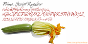 Prima Script, a Script Font by Wiescher-Design (Thumbnail 7 of 10)