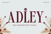 CS Adley – Elegant Font, a Serif Font by Craft Supply Co. (Thumbnail 1 of 8)
