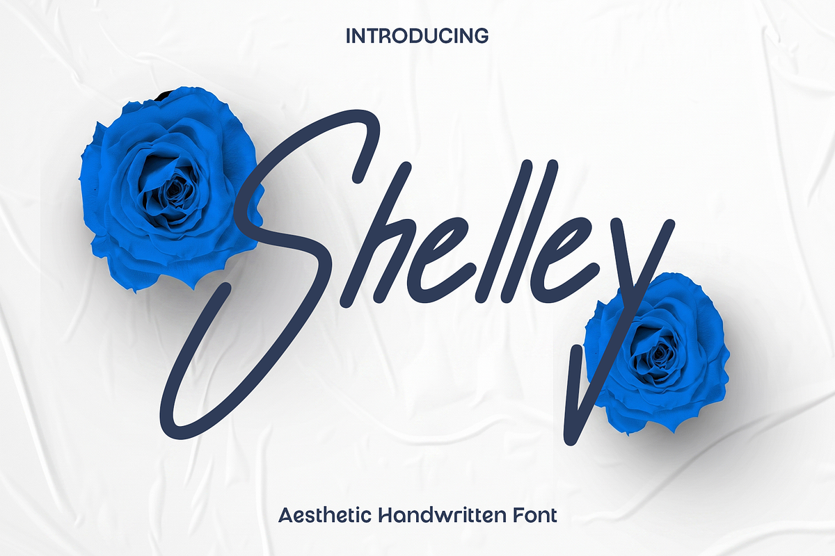 Shelley - Elegant Handwritten Script, a Script Font by Luna Shop (Photo 1 of 6)