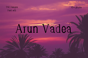 Arun Vadea