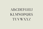 Apostrophic Beauty Serif Font, a Serif Font by UICreative (Thumbnail 6 of 12)