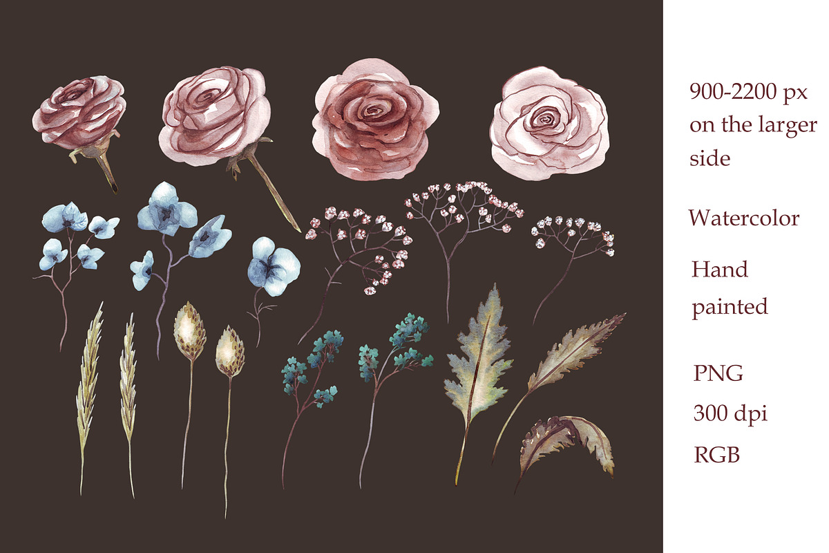 Dusty rose and herbs. Watercolor, an Illustration by Alena Kurian (Photo 3 of 7)