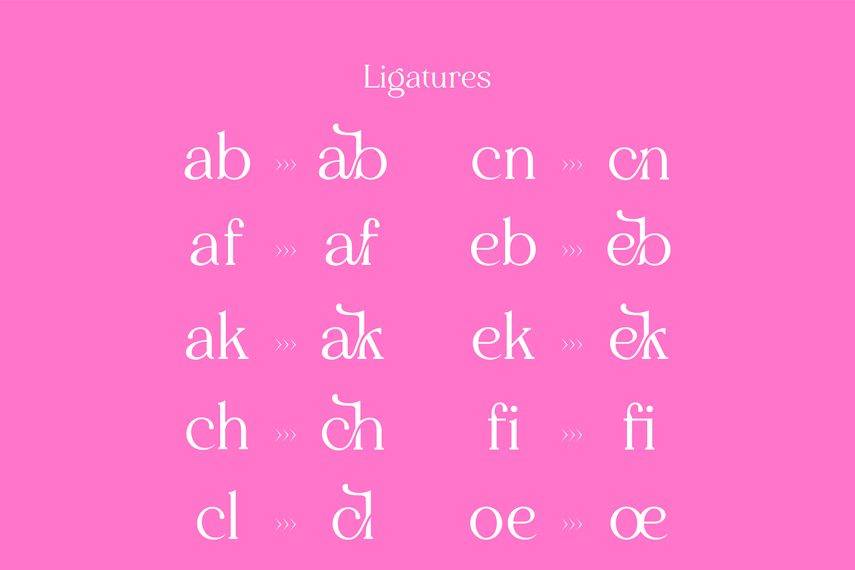 Daisy Tacky - Display Serif Font, a Serif Font by Artchitype Studio (Photo 10 of 12)