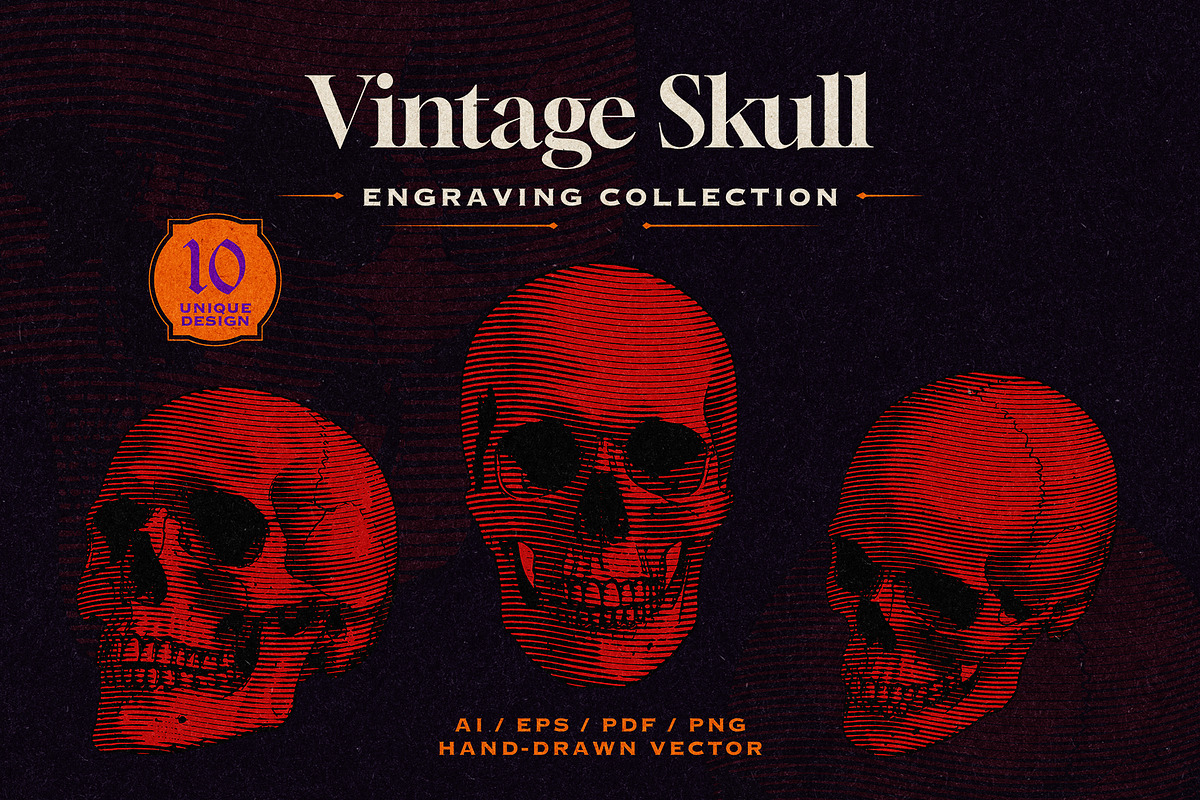 Vintage Skull Engraving Collection, an Object Illustration by Kaizla03 (Photo 1 of 5)