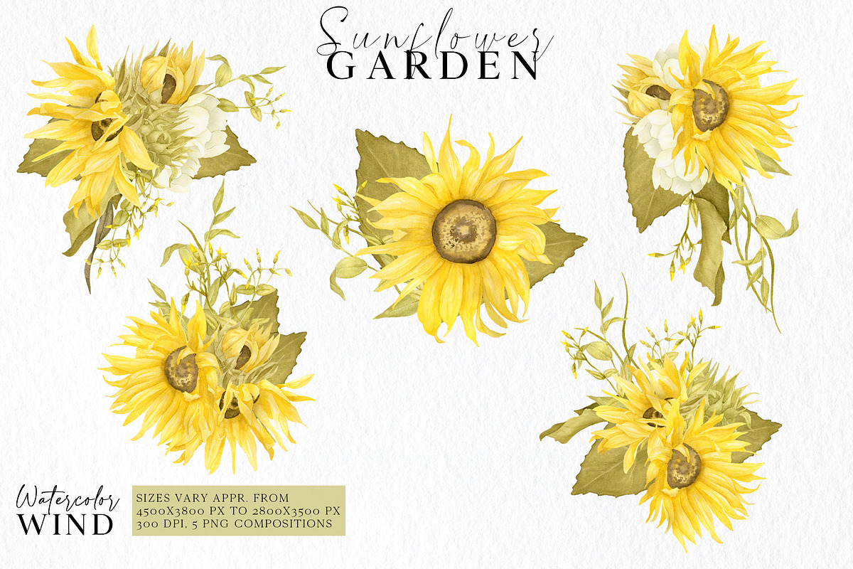 Watercolor Sunflowers Clipart, an Illustration by Ksenia Shmakova (Photo 4 of 12)