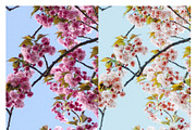Japanese Mood Lightroom Presets, an Action Add-On by Daily Studio (Thumbnail 10 of 10)