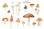 Watercolor autumn collection., a Decorative Illustration by Kira Konoshenko (Thumbnail 3 of 26)