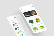 Evergreen - Organic App UI Kit, an UI Kit Template by iDoodle Studio (Thumbnail 4 of 4)