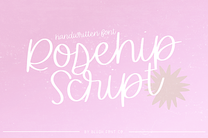 ROSEHIP Script Delicate Brush Font