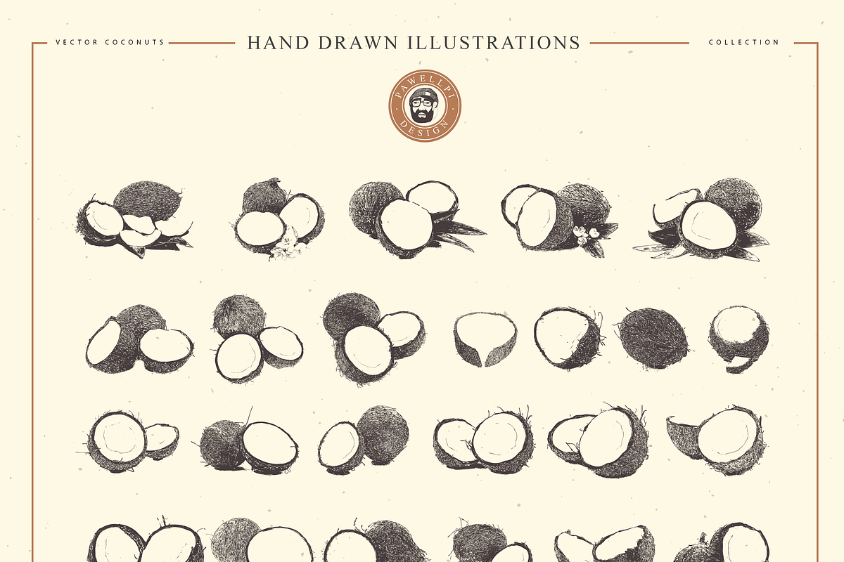 VECTOR COCONUTS HAND DRAWN BUNDLE, a Food Illustration by pawellpi (Photo 6 of 6)