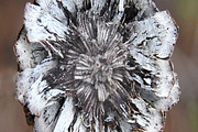 Alphabet Photography Letter O, an Abstract Photo by Artistic Letters (Thumbnail 3 of 7)