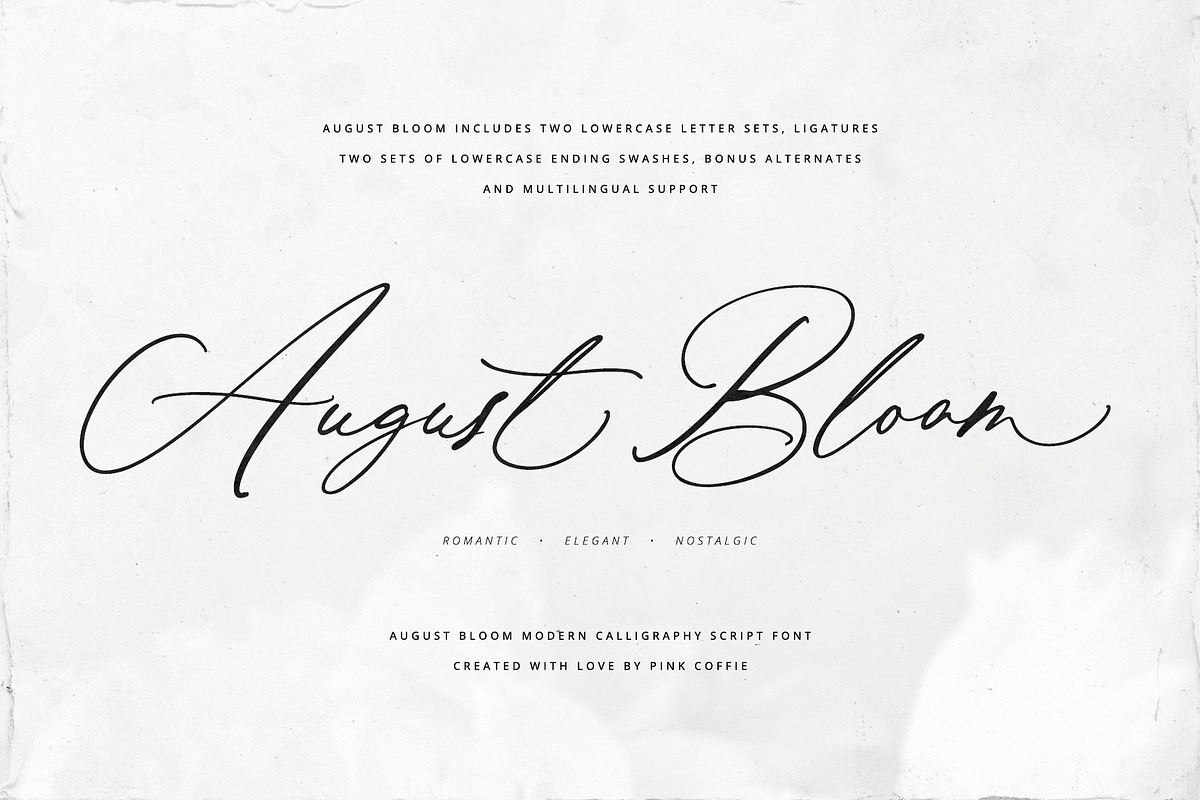 August Bloom | Elegant Script Font, a Script Font by Pink Coffie (Photo 1 of 31)
