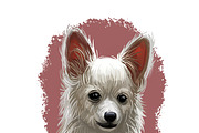 Puppies Dog Breeds Big Bundle 135Pcs, an Animal Illustration by Dneprstock (Thumbnail 53 of 68)