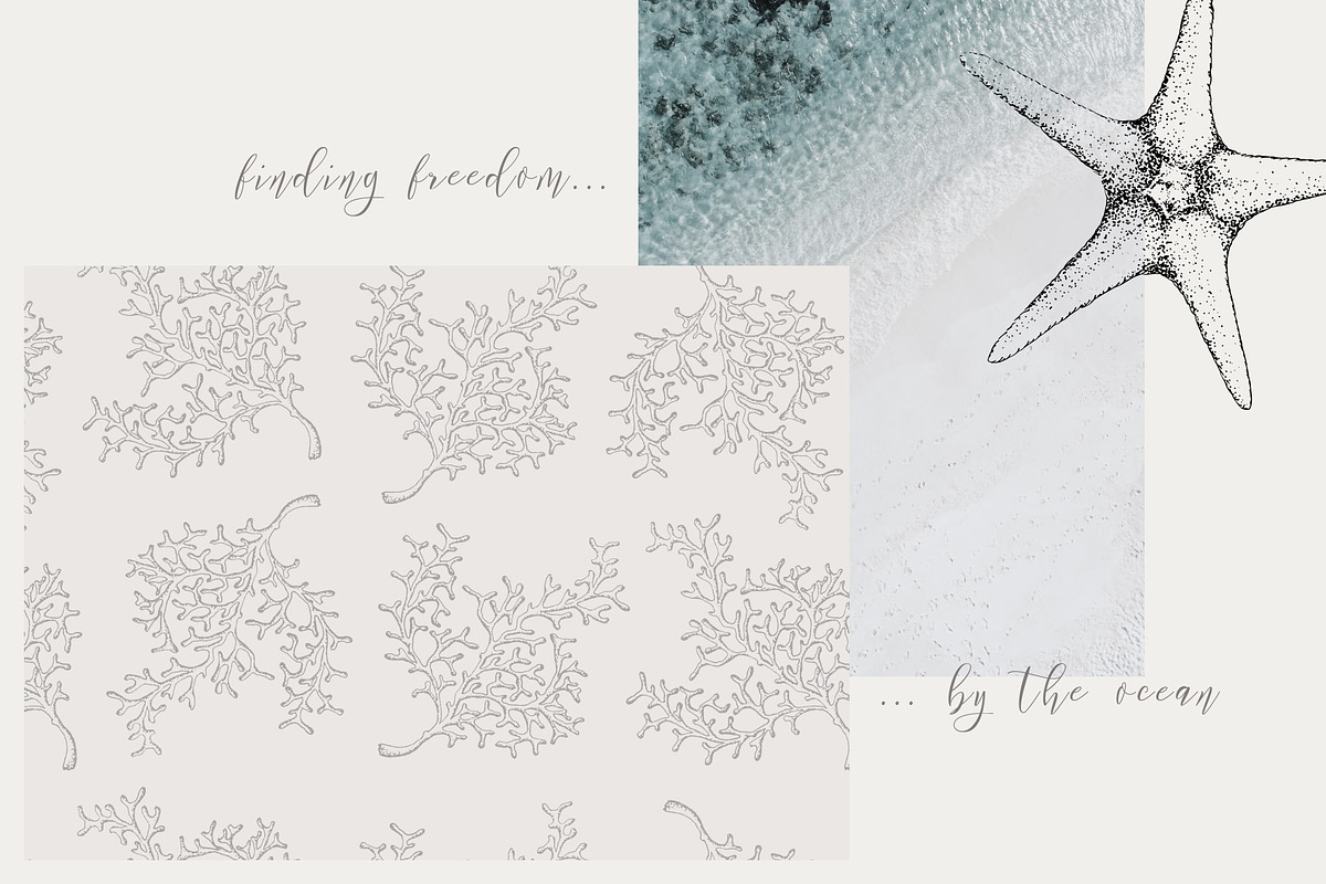 Coral Beach - Maritime Illustrations, a Texture Illustration by Laras Wonderland (Photo 10 of 11)