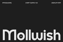 CS Mollwish – Modern Display Font
