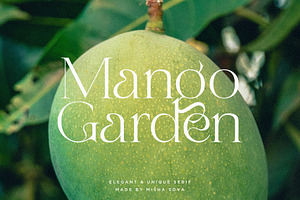 Mango Garden - Elegant Serif, a Serif Font by Misha Sova