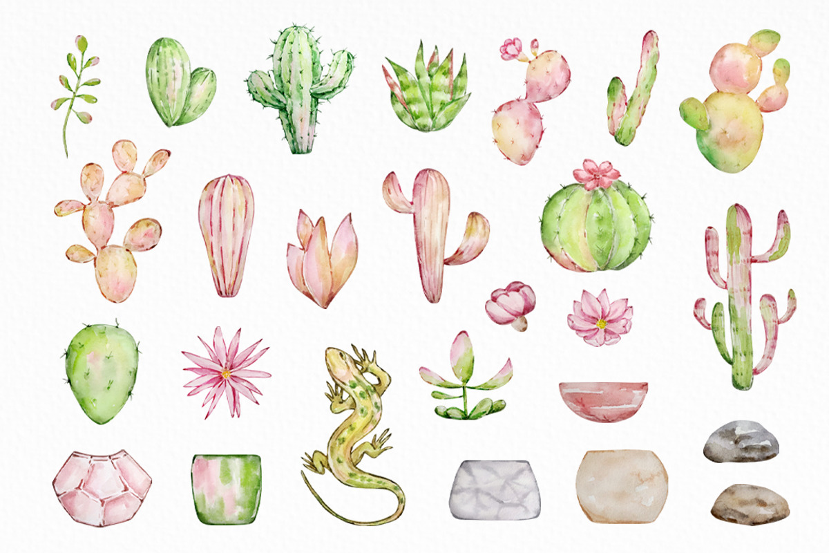 Watercolor Cactus Clipart, an Object Graphic by SvetaArtStore (Photo 3 of 6)