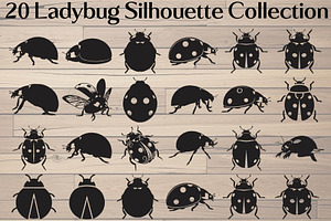 Ladybug Silhouette, an Object Graphic by Designer_Momina